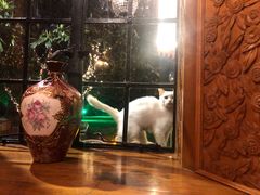 -马勒别墅·中餐厅