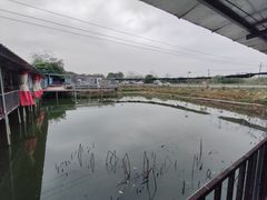 -山旮旯农家菜(曲江店)