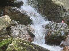 -陕西省红河谷森林公园