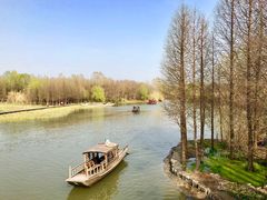 -溱湖国家湿地公园