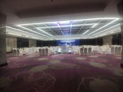 -瑞莱克斯大酒店（望江店）·宴会厅