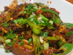 -柴窝堡22号辣子鸡·传承新疆菜