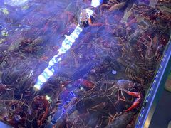 -虾铺子龙虾·私房菜(金源花苑店)