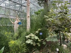 -南山植物园