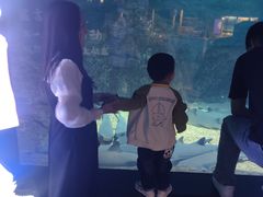 -烟台海昌鲸鲨海洋公园