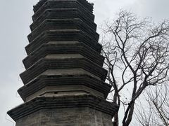 -正阳书局(西四南大街店)