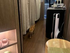 -慢活谷古法泰式按摩HarikyLand Thai Massage & Spa
