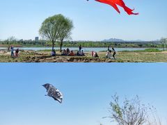 -绿堤公园
