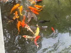 -劈柴院锅贴(沈阳路店)