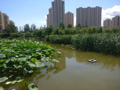 -前关湿地公园