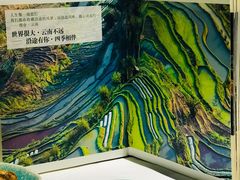 -沿途四季·云南菜(建外大街店)