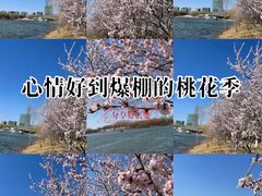 -大兴滨河森林公园