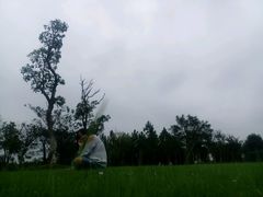 -瑶湖郊野森林公园