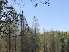 -凤凰沟景区