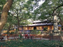 -普陀山风景名胜区-法雨禅寺