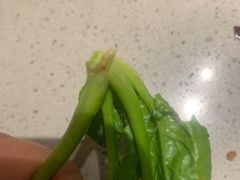-海底捞火锅(奥森店)