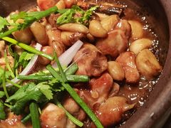 五指毛桃啫鸡-晓粤·惹味粤菜(凯德乐峰广场店)