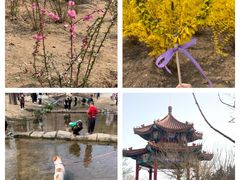 -白水寺森林公园