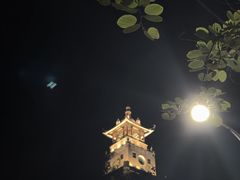 -龙舟池