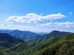 -大岭沟猕猴桃谷风景区