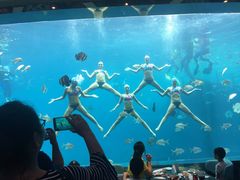 -瑞德姆美人鱼海底演艺主题餐厅(亚龙湾店)
