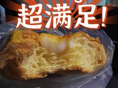 -岭南站NOVA