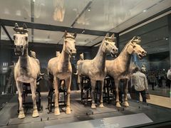 -秦始皇帝陵博物院-丽山园