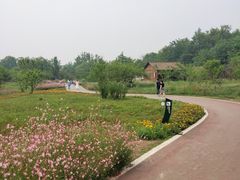 -桤木河湿地公园