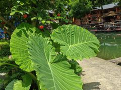 -车溪民俗旅游区