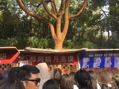 -郭阿姨月亮馍
