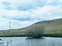 -塞罕坝国家级自然保护区