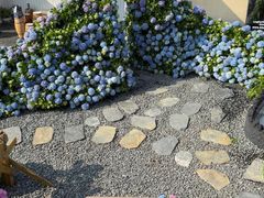 -Blue Concept Cafe&Farm·關於藍