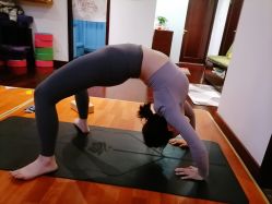 -Yvon yoga 瑜伽·精准体态管理中心