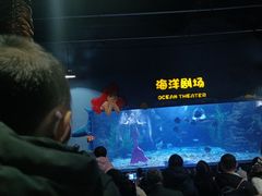 -郑州海洋馆