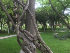 -狼山风景名胜区