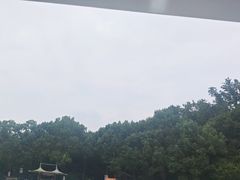 -杭州少年儿童公园