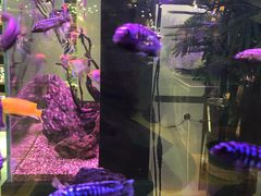-龟与熊猫宠物公园(南坪店)