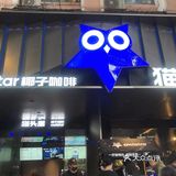 右滑看体育西超人气新店猫头星椰子咖啡探店照哈哈！