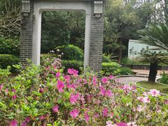 -深圳国际园林花卉博览园