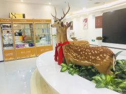 -润泽瑞尼丝医疗美容医院