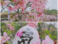 -文华公园(禅城区)