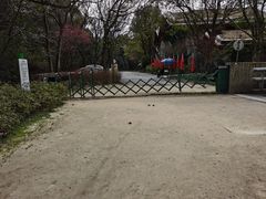 -西湖风景区-江洋畈生态公园