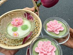 -阿露佳·舌尖上的安吉菜