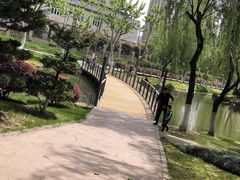 -后襄河公园