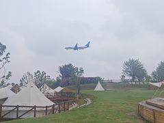 -空港花田景区