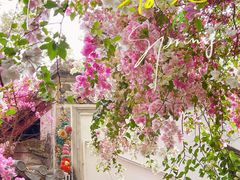 -深圳国际园林花卉博览园