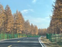 -塞罕坝国家级自然保护区