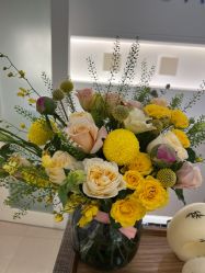 -Oasis Beauty水磨坊科技美肤中心