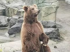 -宁波野生动物园