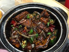 瓦煲干肉骨茶-新记肉骨茶